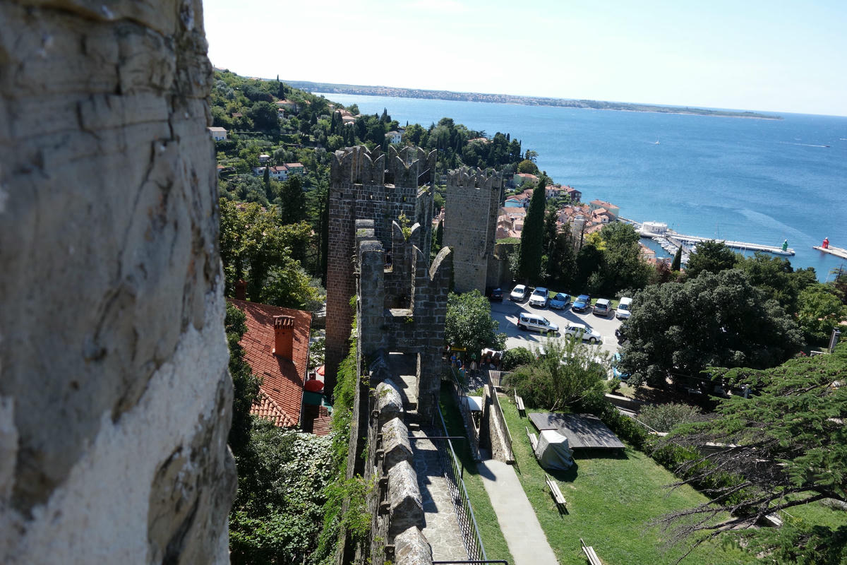 Piran Wall